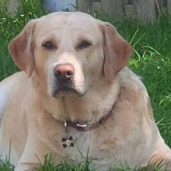 Meet your Posher, Patricia - Picture 1 of 1